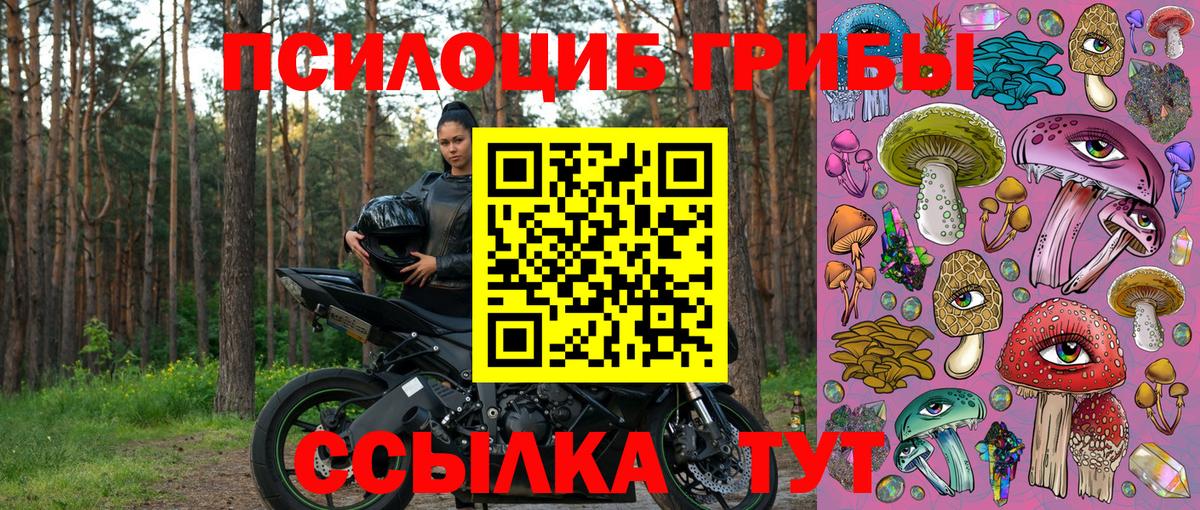 Великий Устюг  Галлюциногенные грибы MAGIC MUSHROOMS  Вход с VPN 